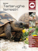 Tartarughe terrestri (ebook)  Marta Avanzi   De Vecchi Editore