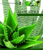 Aloe Vera  Silvia Canevaro   KeyBook