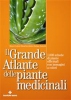 Il grande atlante delle piante medicinali  Mauro Ceoloni Stefano Todeschi Elena Bocchietto Tecniche Nuove