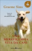 Una meravigliosa vita da cani  Graeme Sims   Sperling & Kupfer