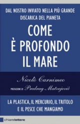 Come è profondo il mare  Nicolò Carnimeo   Chiare Lettere