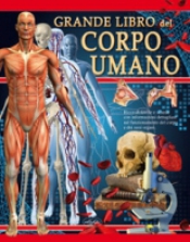 Grande libro del corpo umano  Autori Vari   IdeaLibri