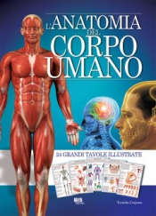 L'Anatomia del Corpo Umano  Autori Vari   Bis Edizioni