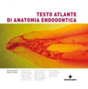 Testo atlante di anatomia endodontica  Massimo Gagliani Roberto Fornara  Tecniche Nuove